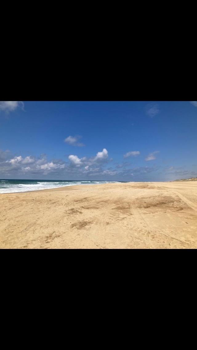 Dune *