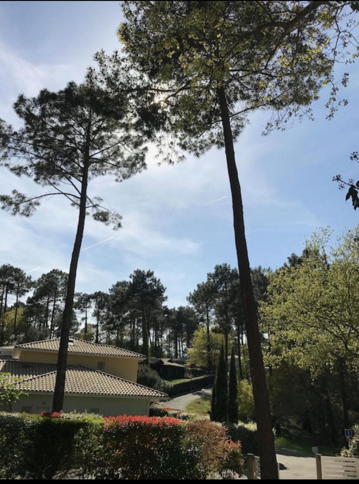Villa Dune *